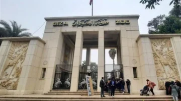 موعد افتتاح جديد حديقة الحيوان بالجيزة ينتظره الجمهور 2026